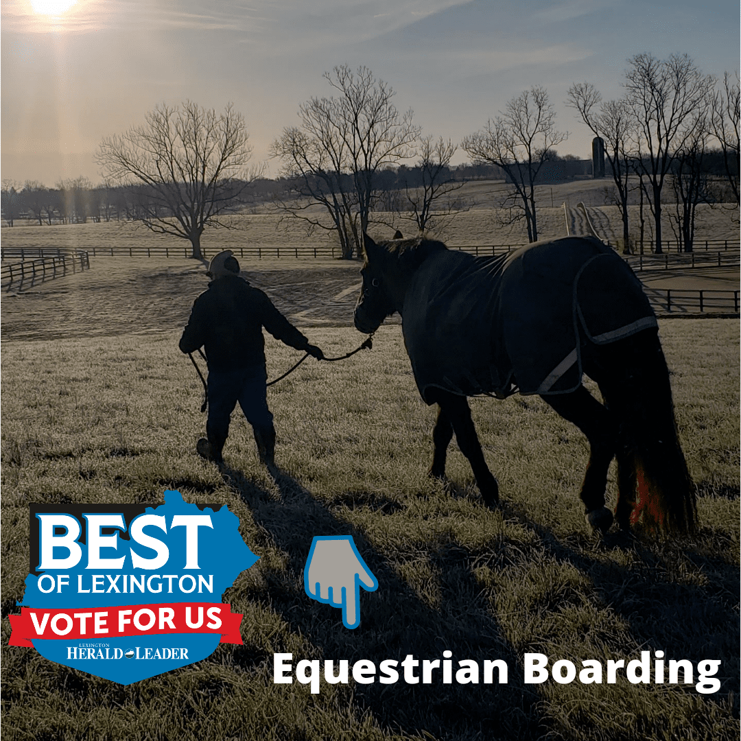 VOTE for US! Best in Lexington Equestrian Boarding