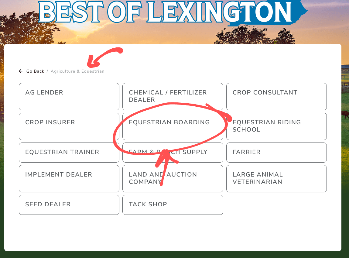 https://www.votelexington.com/