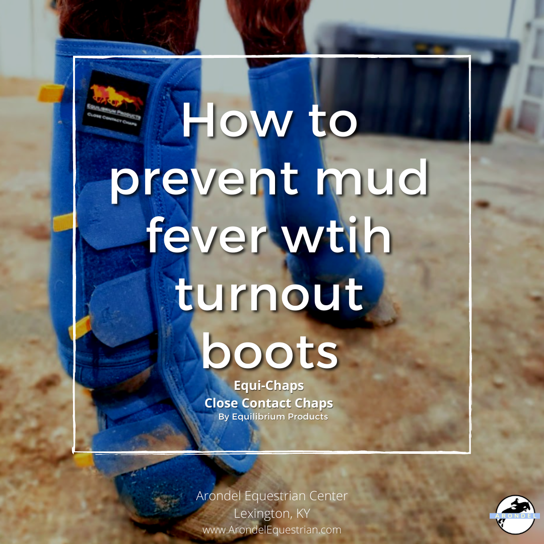 Prevent Mud Fever with Turnout Boots