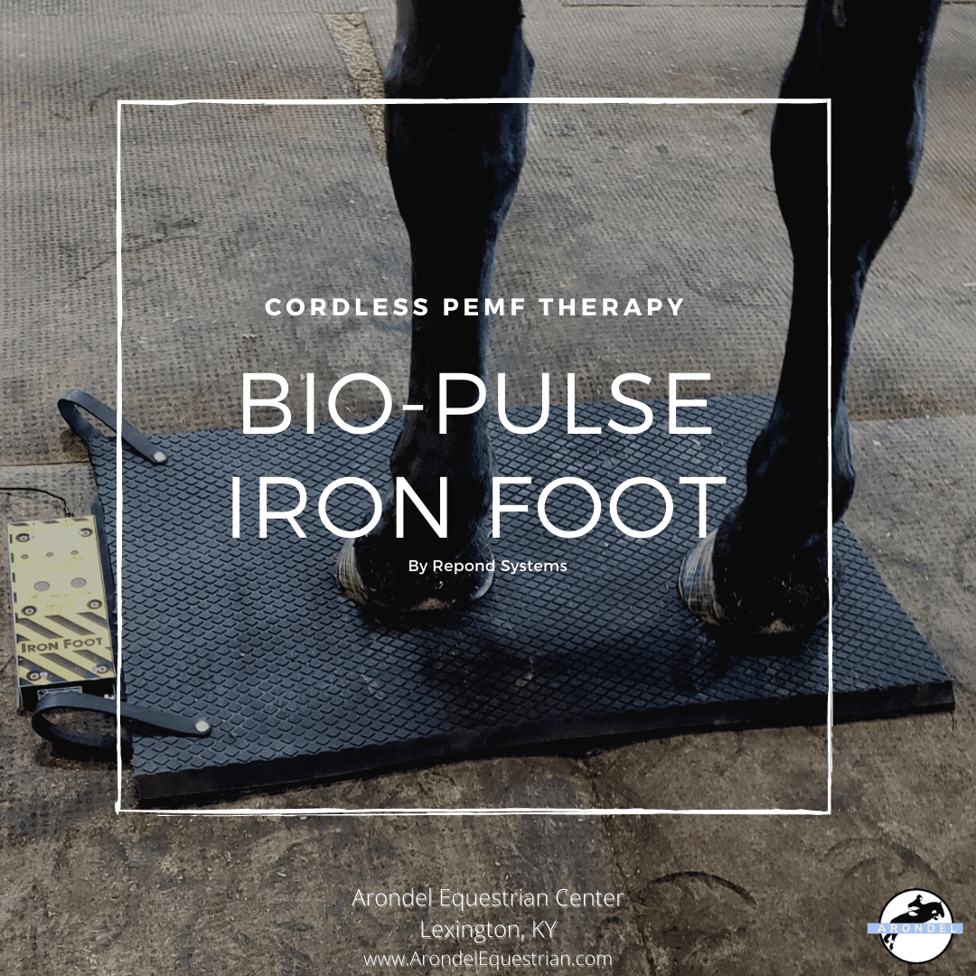 PEMF-Hoof-Pad-Bio-Pulse-Iron-Foot