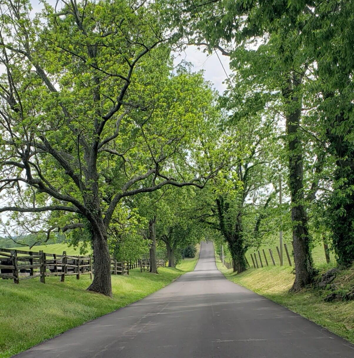 lexington-kentucky-scenic-roads