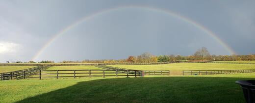 Private and Medium Paddocks