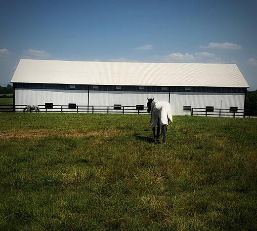 Arondel Barn Outside 1