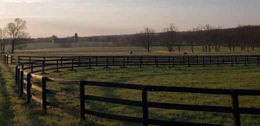 Large safe double 3 board Kentucky Fence Pasture